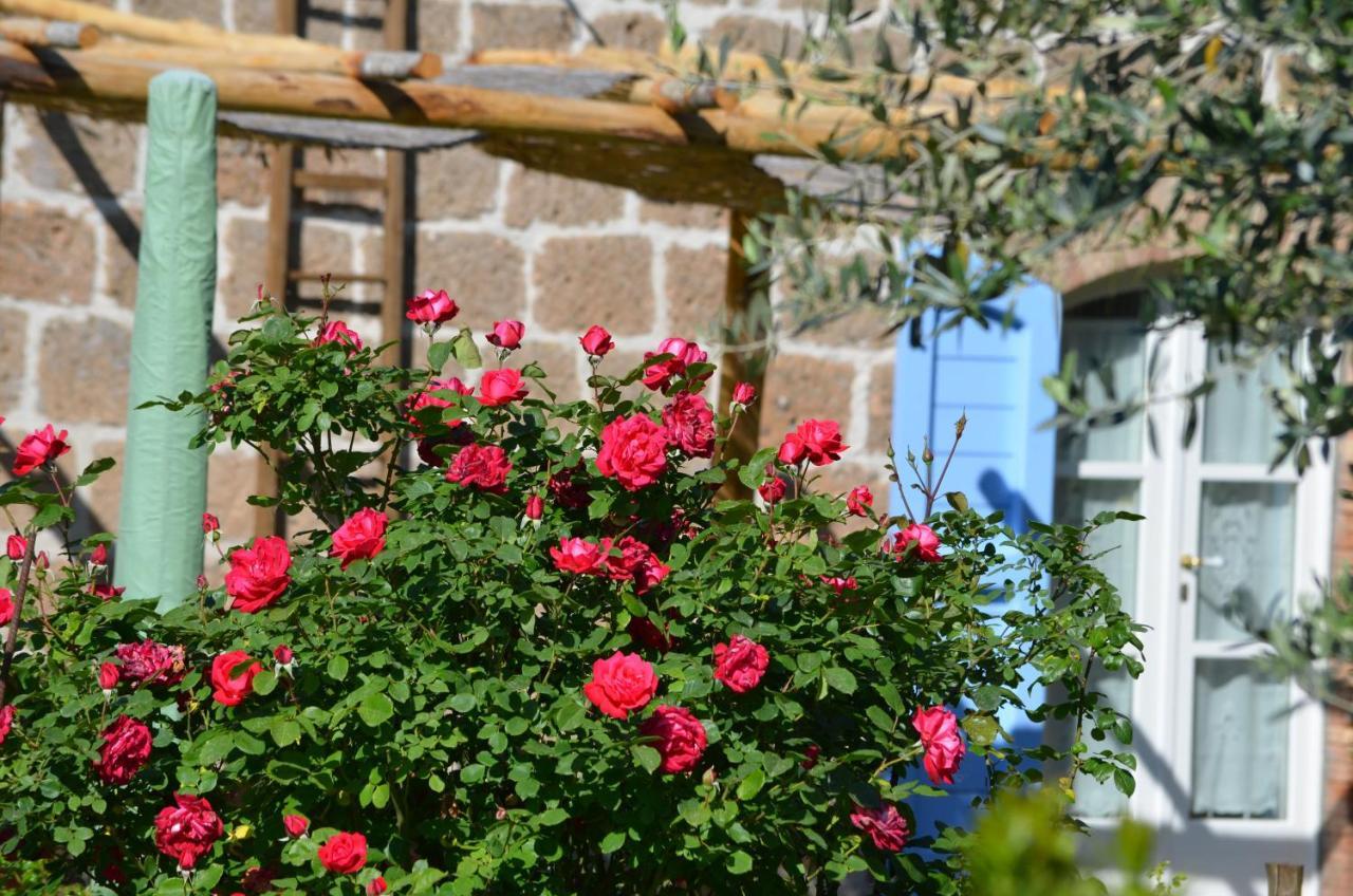 Podere Delle Rose Torre San Severo Екстер'єр фото