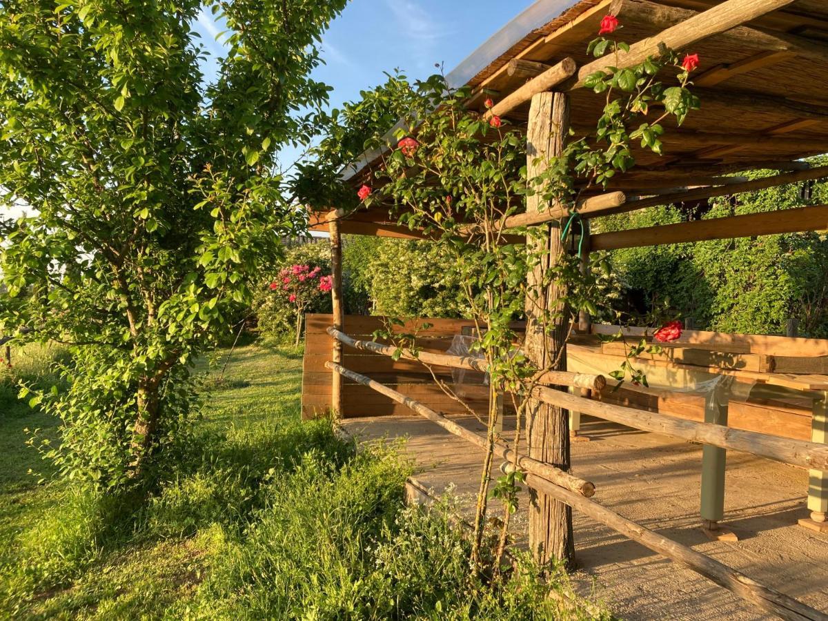 Podere Delle Rose Torre San Severo Екстер'єр фото