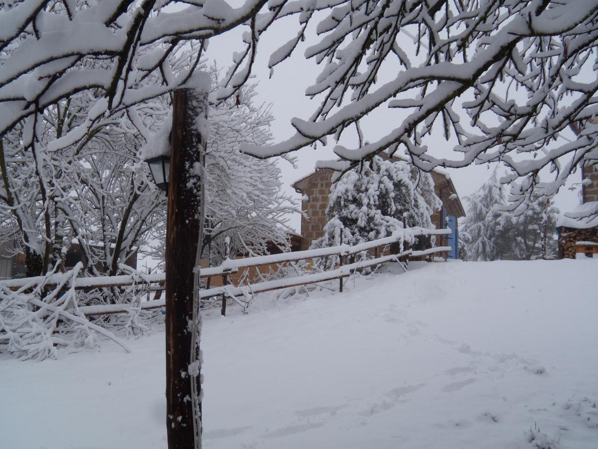 Podere Delle Rose Torre San Severo Екстер'єр фото